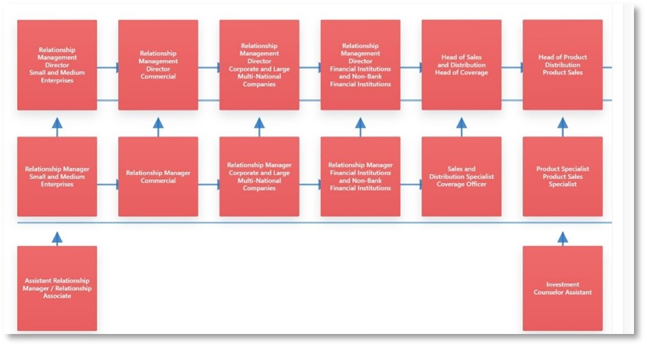 Career Structure Pathways
