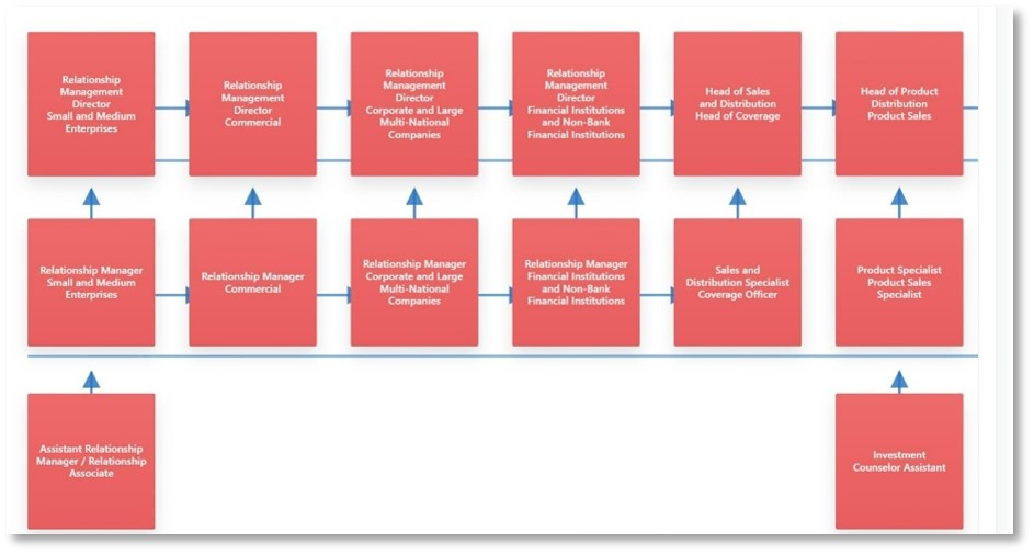 Career Structure Pathways